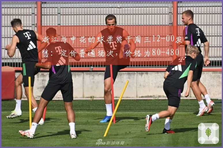 浙江与申花的球票将于周三12-00发售：定价普通场次，价格为80-480元