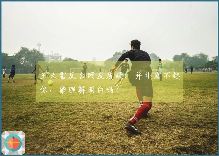 王大雷反击网友质疑：并非看不起你，能理解明白吗？